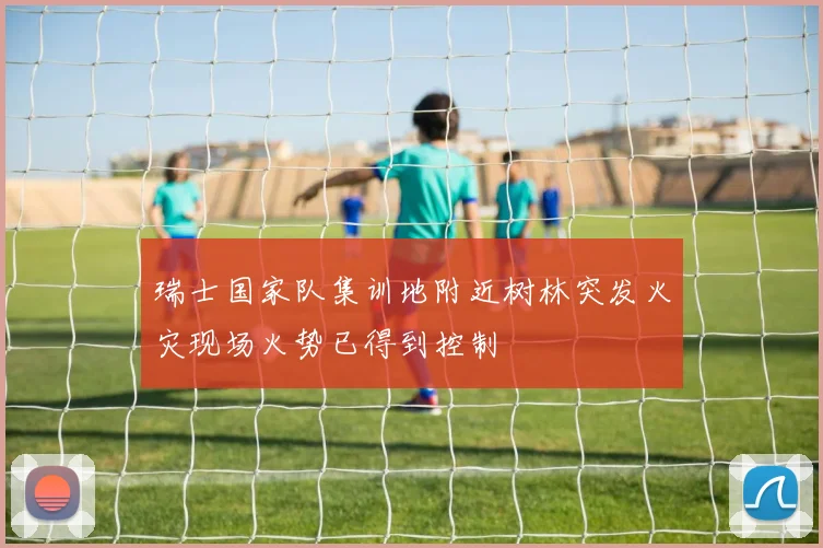 瑞士国家队集训地附近树林突发火灾现场火势已得到控制
