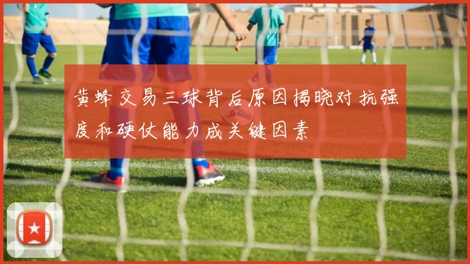 黄蜂交易三球背后原因揭晓对抗强度和硬仗能力成关键因素