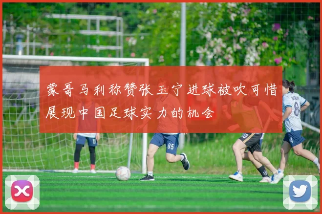 蒙哥马利称赞张玉宁进球被吹可惜展现中国足球实力的机会
