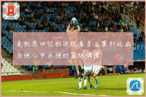 麦凯恩回忆初次观看季后赛科比成为他心中永恒的篮球偶像